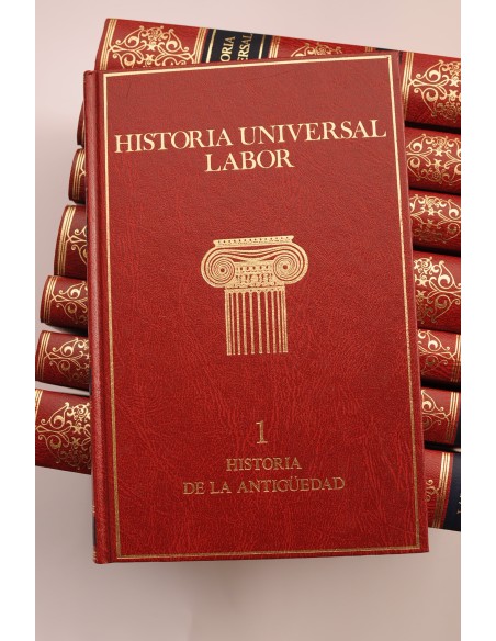 Historia Universal Labor
