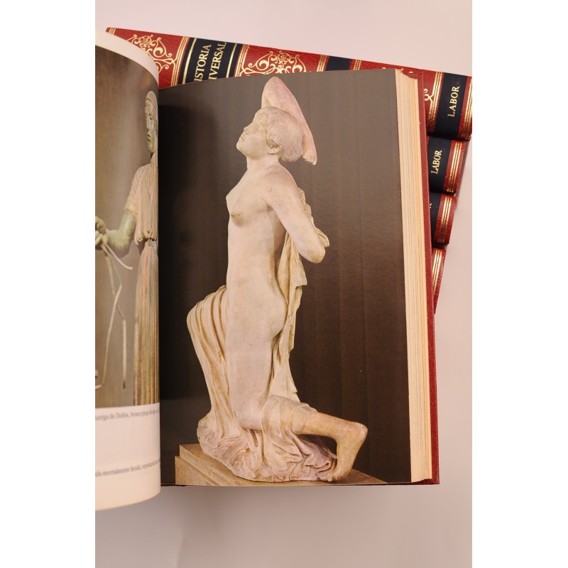 Historia Universal Labor