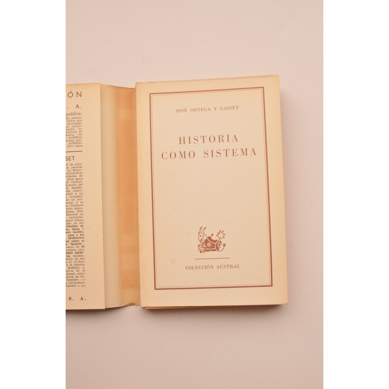 Historia como sistema