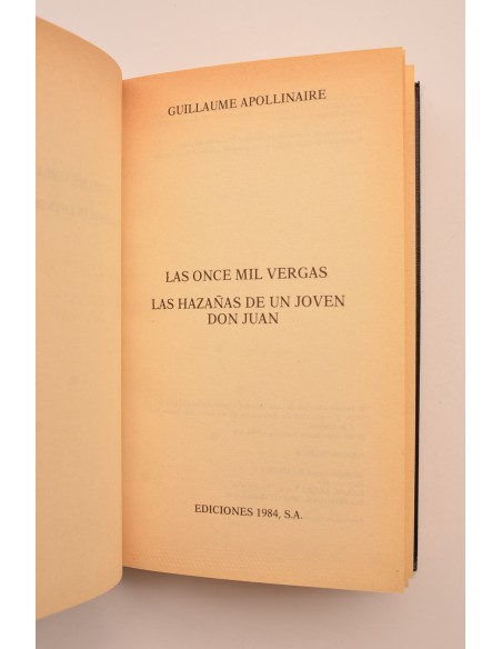 Las once mil vergas , Las hazañas de un joven Don Juan