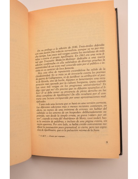 Las once mil vergas , Las hazañas de un joven Don Juan