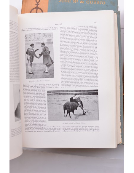Los toros. Tratado técnico e histórico