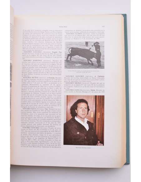 Los toros. Tratado técnico e histórico . Vol. 6