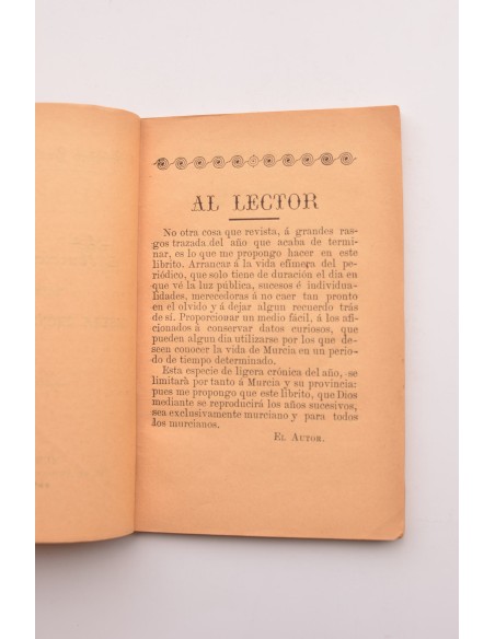 Murcia en 1896. Ligera crónica del año