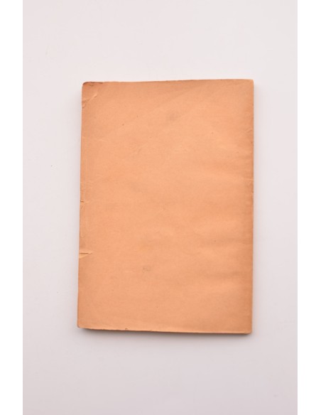 Murcia en 1896. Ligera crónica del año