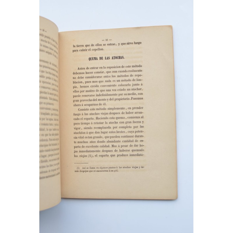 Apuntes sobre el esparto