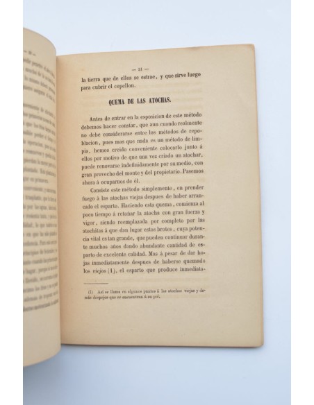 Apuntes sobre el esparto