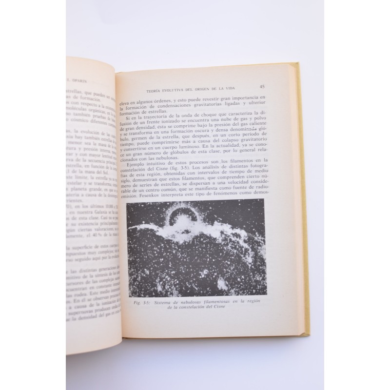 Teoría evolutiva del origen de la vida