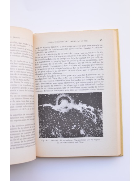 Teoría evolutiva del origen de la vida