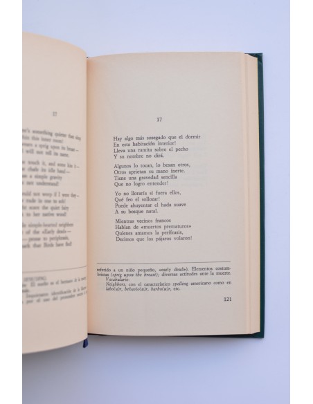 Cien poemas (selección)