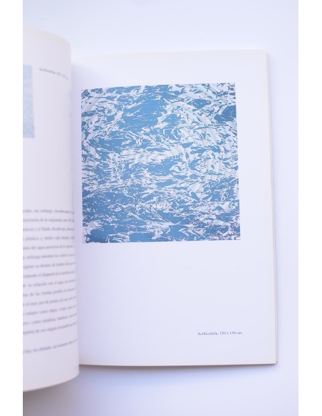 Eduardo Sanz : pinturas. Catálogo de exposiciones, 1999