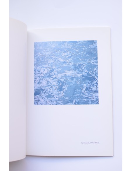 Eduardo Sanz : pinturas. Catálogo de exposiciones, 1999