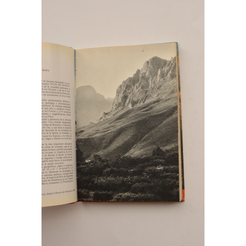 Los Picos de Europa