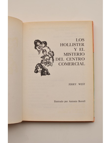 Los Hollister y el misterio del centro comercial