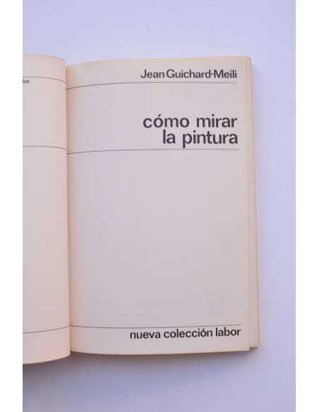 Cómo mirar la pintura