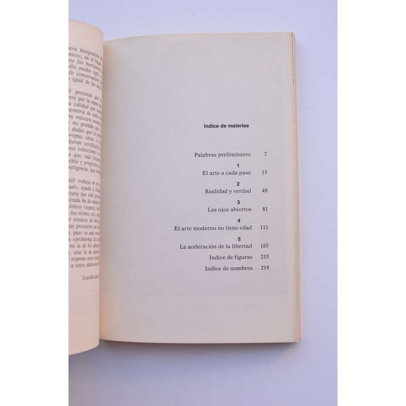 Cómo mirar la pintura