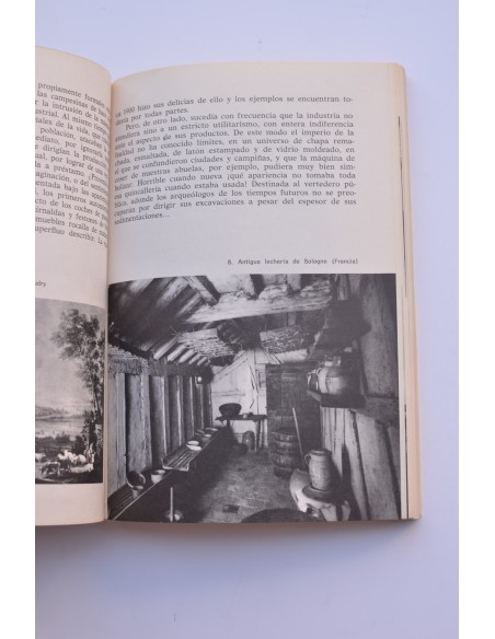 Cómo mirar la pintura