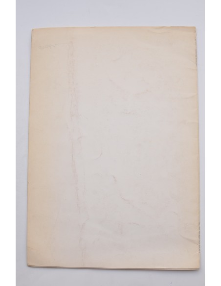 Arqueología del rostro