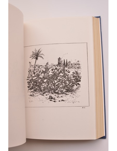 Murgetana. Del nº XVII (1961) al XX(1963)