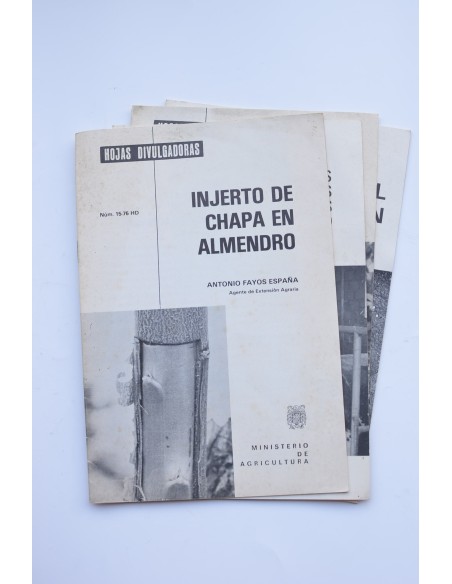 El champiñón y otros títulos