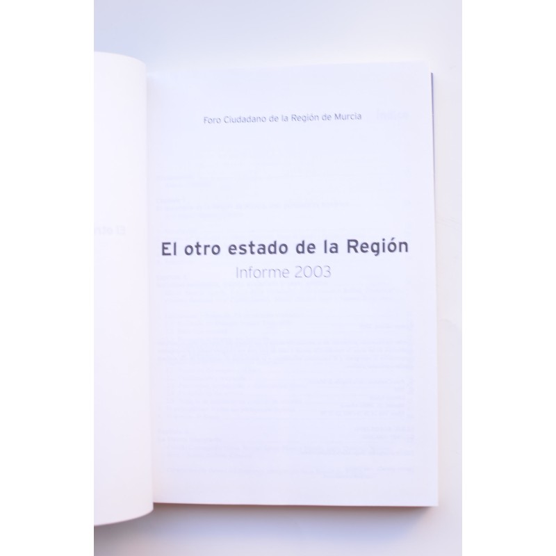 El otro estado de la Región. Informe 2003