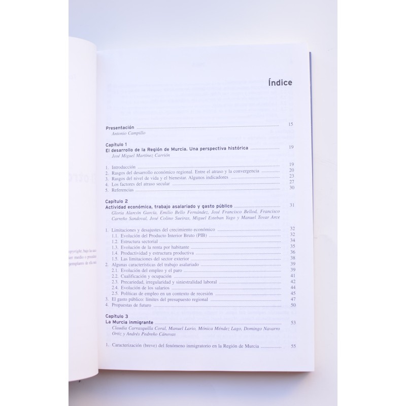 El otro estado de la Región. Informe 2003