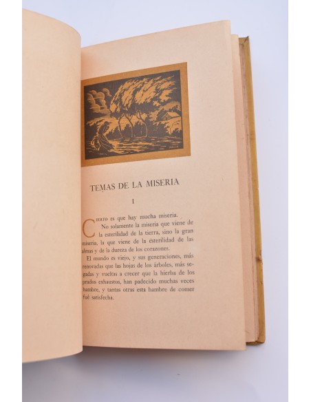 El erial