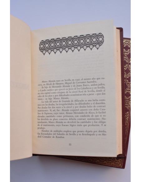 Guzmán de Alfarache