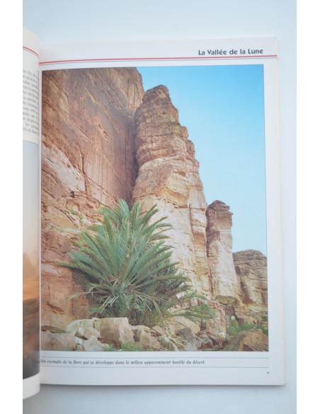 Wadi Rum. Les desert des Bedouins
