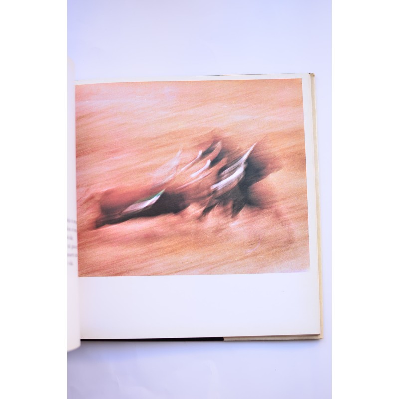 La Corrida