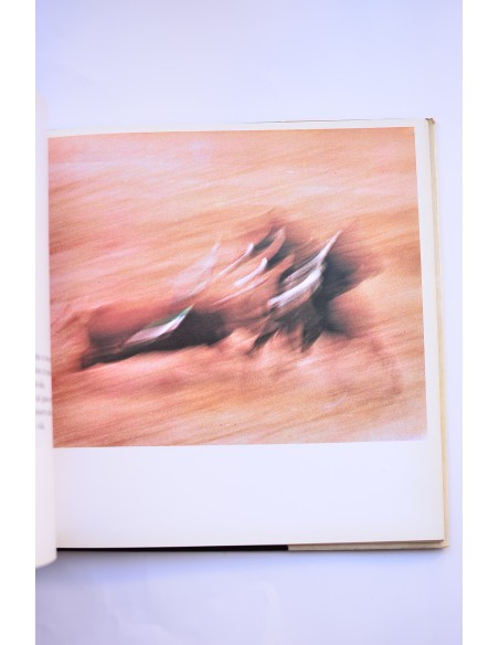 La Corrida
