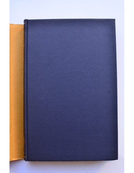 Medieval latin and the rise of european love-lyric. Vol. I. Problems and interpretations