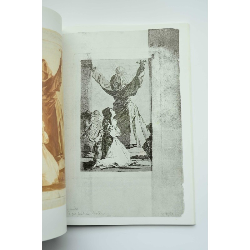 Goya. Los Caprichos : dibujos y aguafuertes