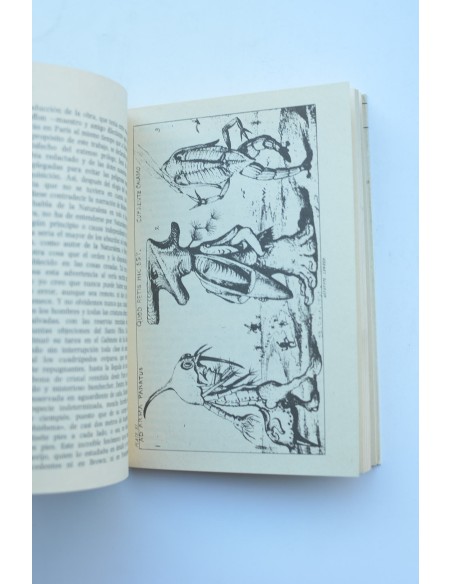 Bestiario fantástico