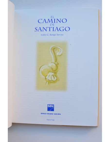 El Camino de Santiago