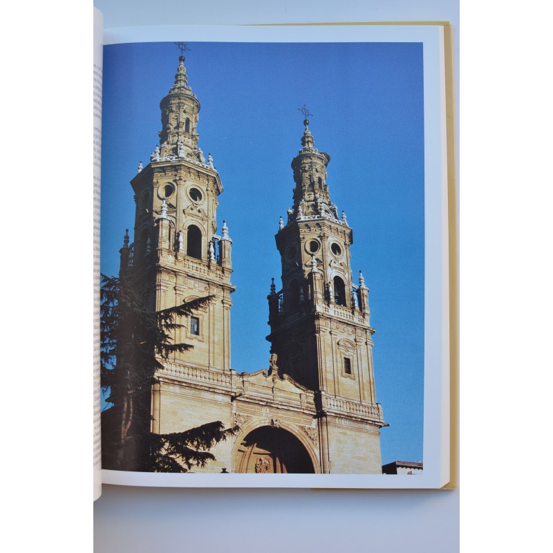 El Camino de Santiago