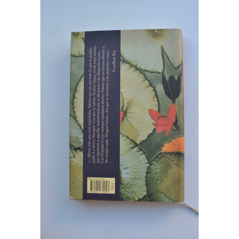 El dios de las pequeñas cosas