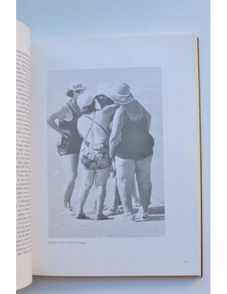 Arte en Murcia, 1862 - 1985