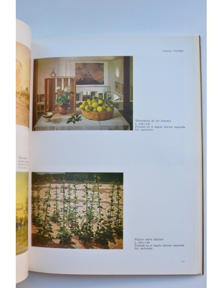 Arte en Murcia, 1862 - 1985