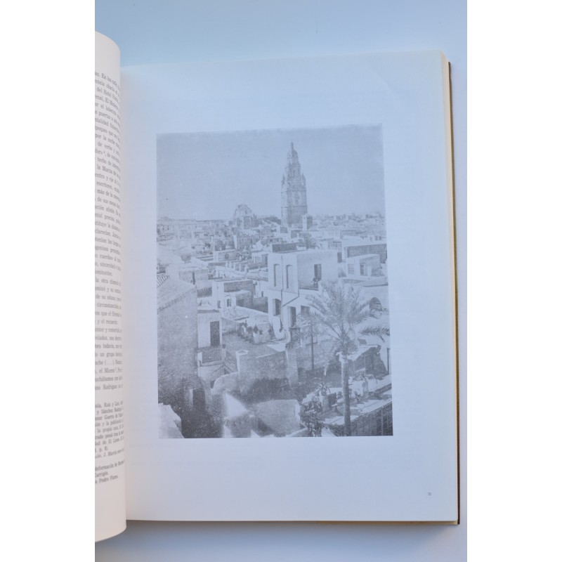 Arte en Murcia, 1862 - 1985