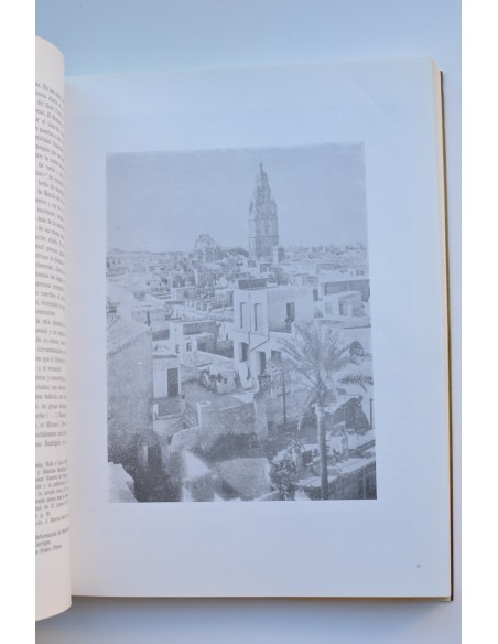Arte en Murcia, 1862 - 1985