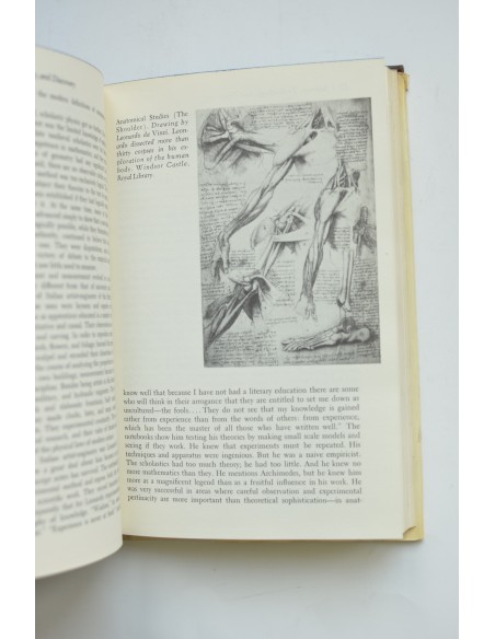 The Foundations of Early Modern Europe 1460 - 1559