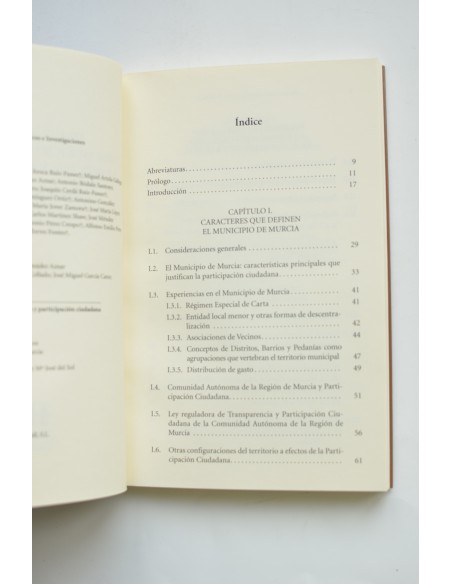 Singularidad del municipio de Murcia y participación ciudadana