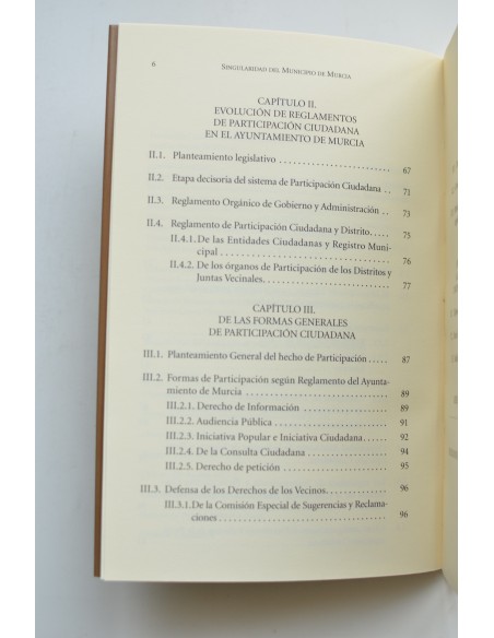 Singularidad del municipio de Murcia y participación ciudadana