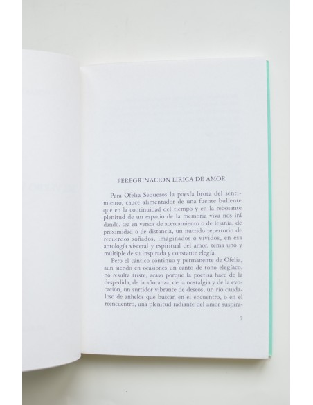 Del verbo y el ensueño