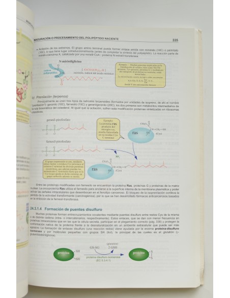 Texto ilustrado de biología molecular e ingeniería genética