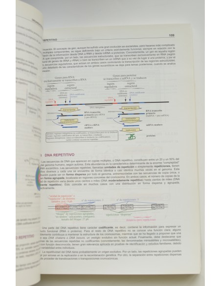 Texto ilustrado de biología molecular e ingeniería genética