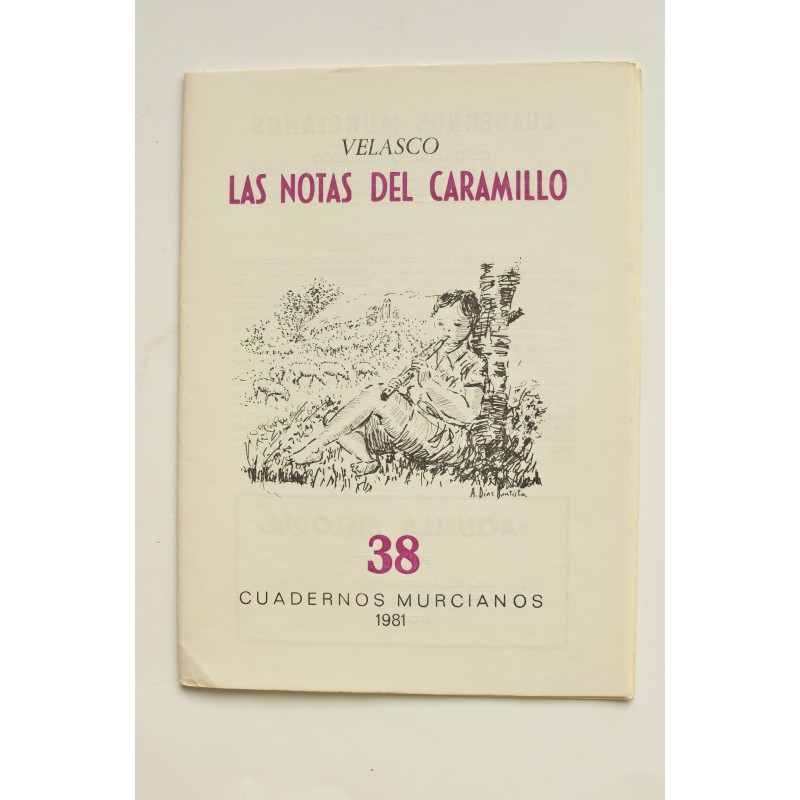 Cuadernos Murcianos, 38