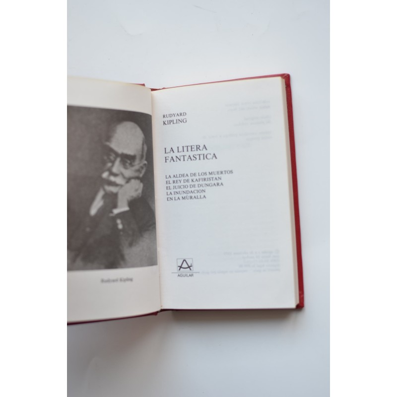 La litera fantástica y otros títulos