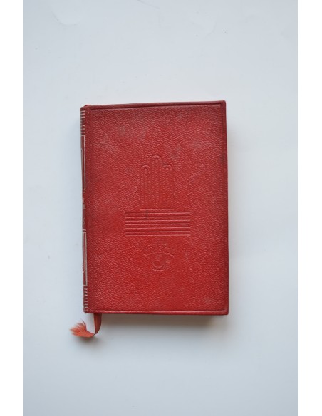 Geishas del Japón - El halcón del desierto